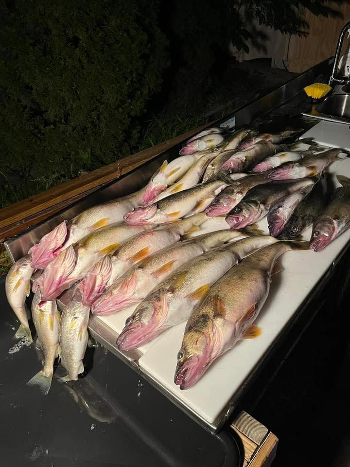 Oneeyeatatime Fishing