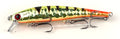 Renosky Shallow Diver - Fire Tiger