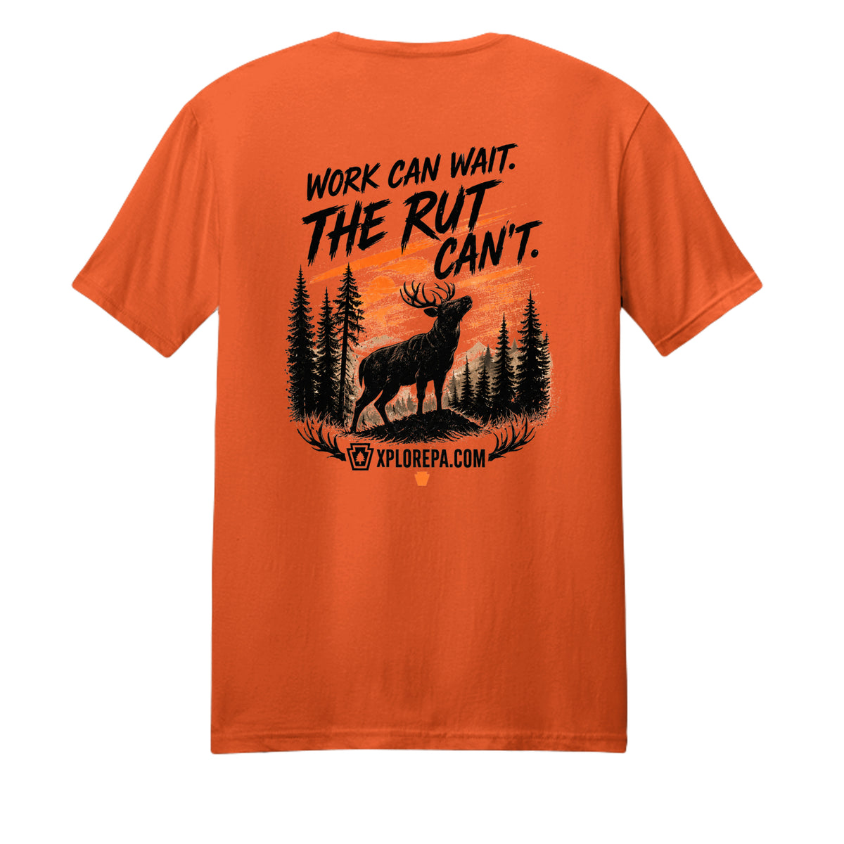 Safety Orange - DM108 - BACK