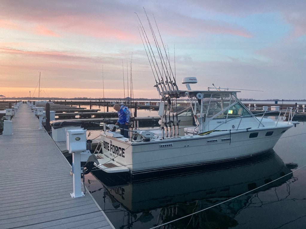 Bite Force Fishing
